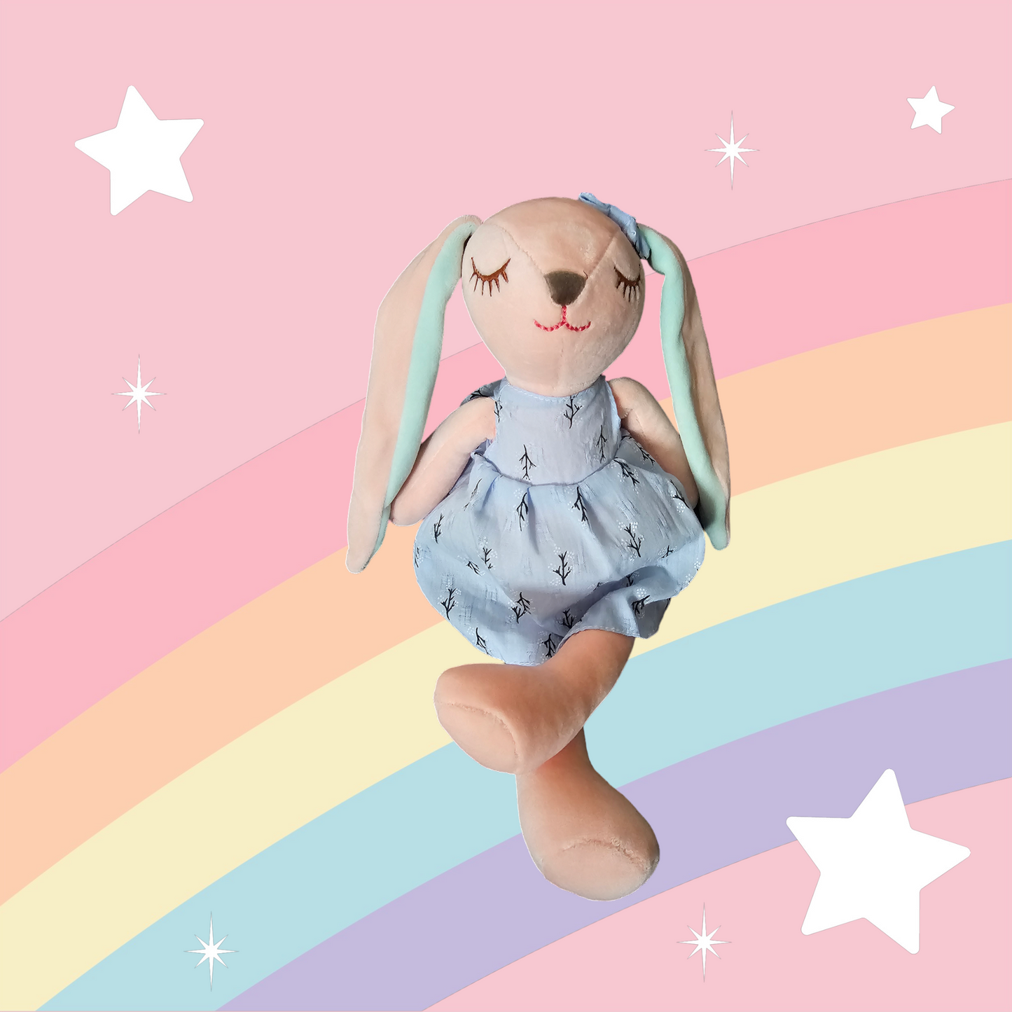 Plush Teddy Blue