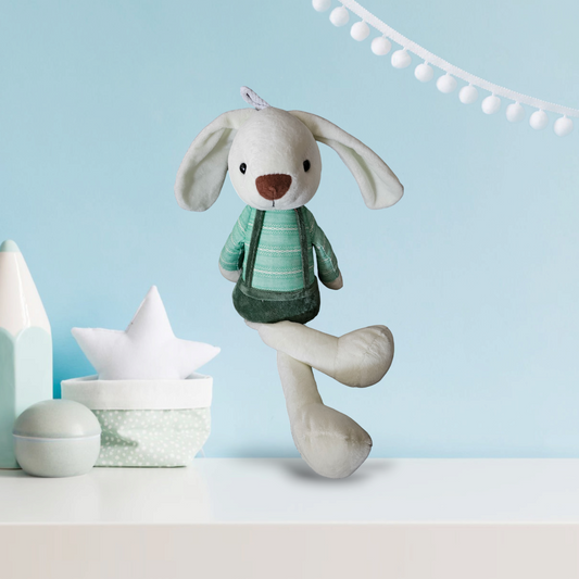 Plush Teddy Green