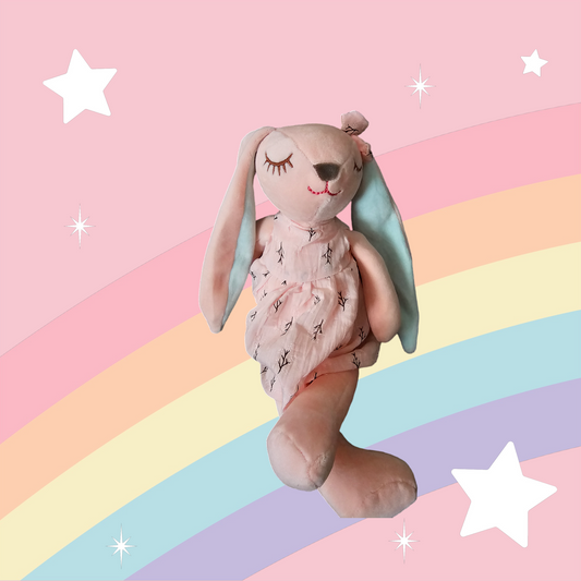Plush Teddy Pink